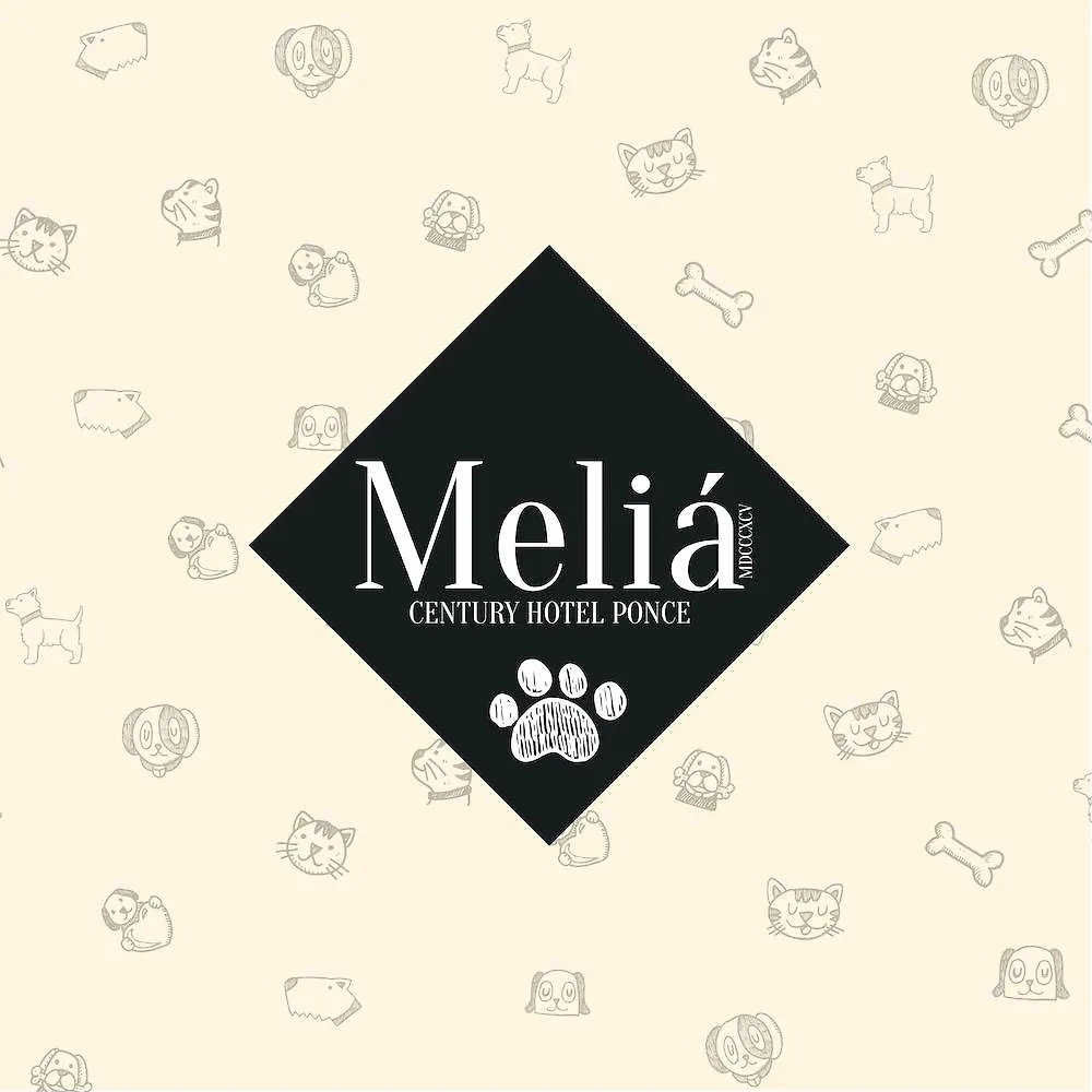 Hotel Melia פונצ'ה 4*,